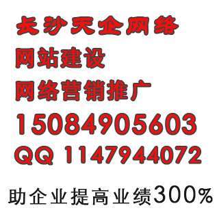 长沙专业网站制作公司,长沙天企网络网站制作部门 网站定制开发 产品供应